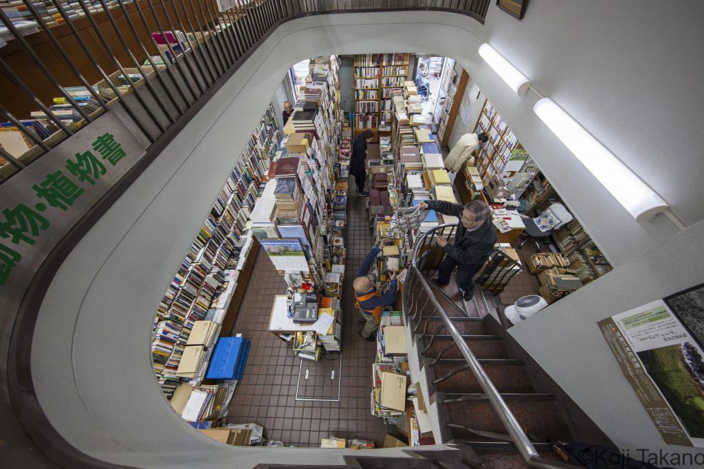 本屋はワンダーランド