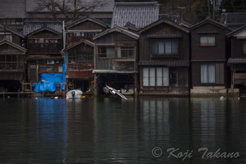 京都　伊根